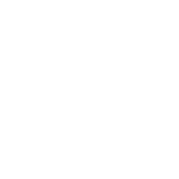 WEDLUXE published wedding photographer